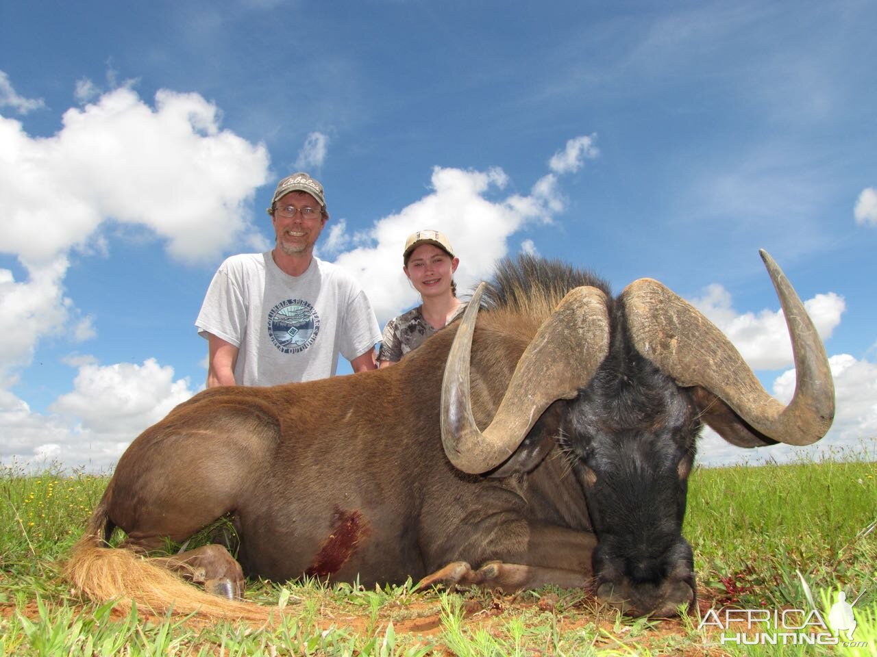 Hunting Black Wildebeest in South Africa