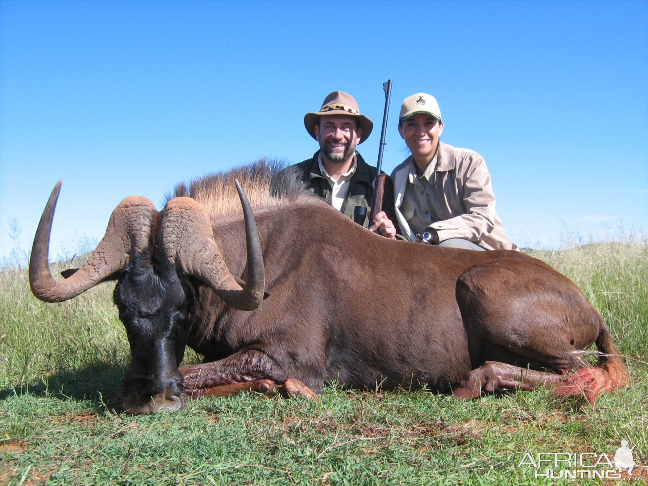 Hunting Black Wildebeest with Wintershoek Johnny Vivier Safaris in SA