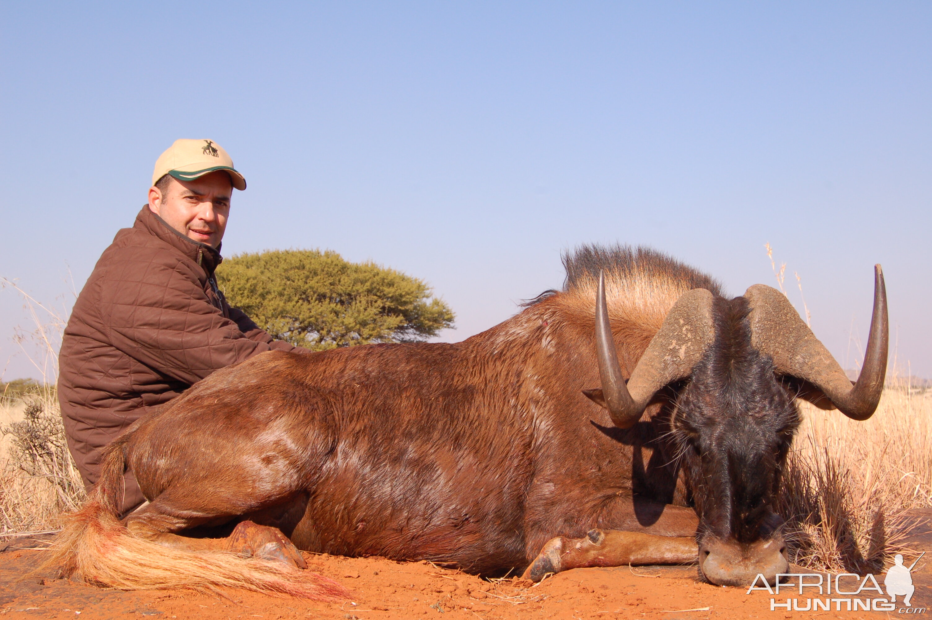 Hunting Black Wildebeest with Wintershoek Johnny Vivier Safaris in SA