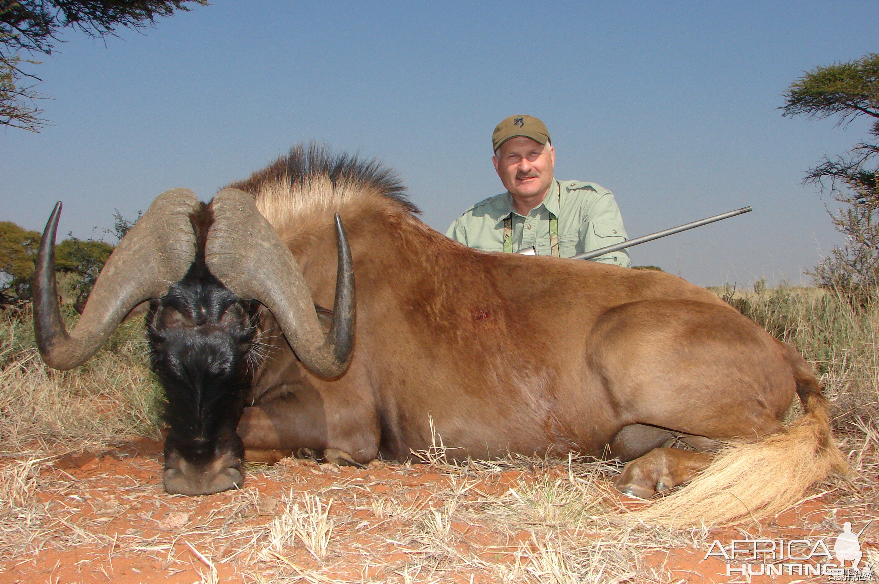 Hunting Black Wildebeest with Wintershoek Johnny Vivier Safaris in SA