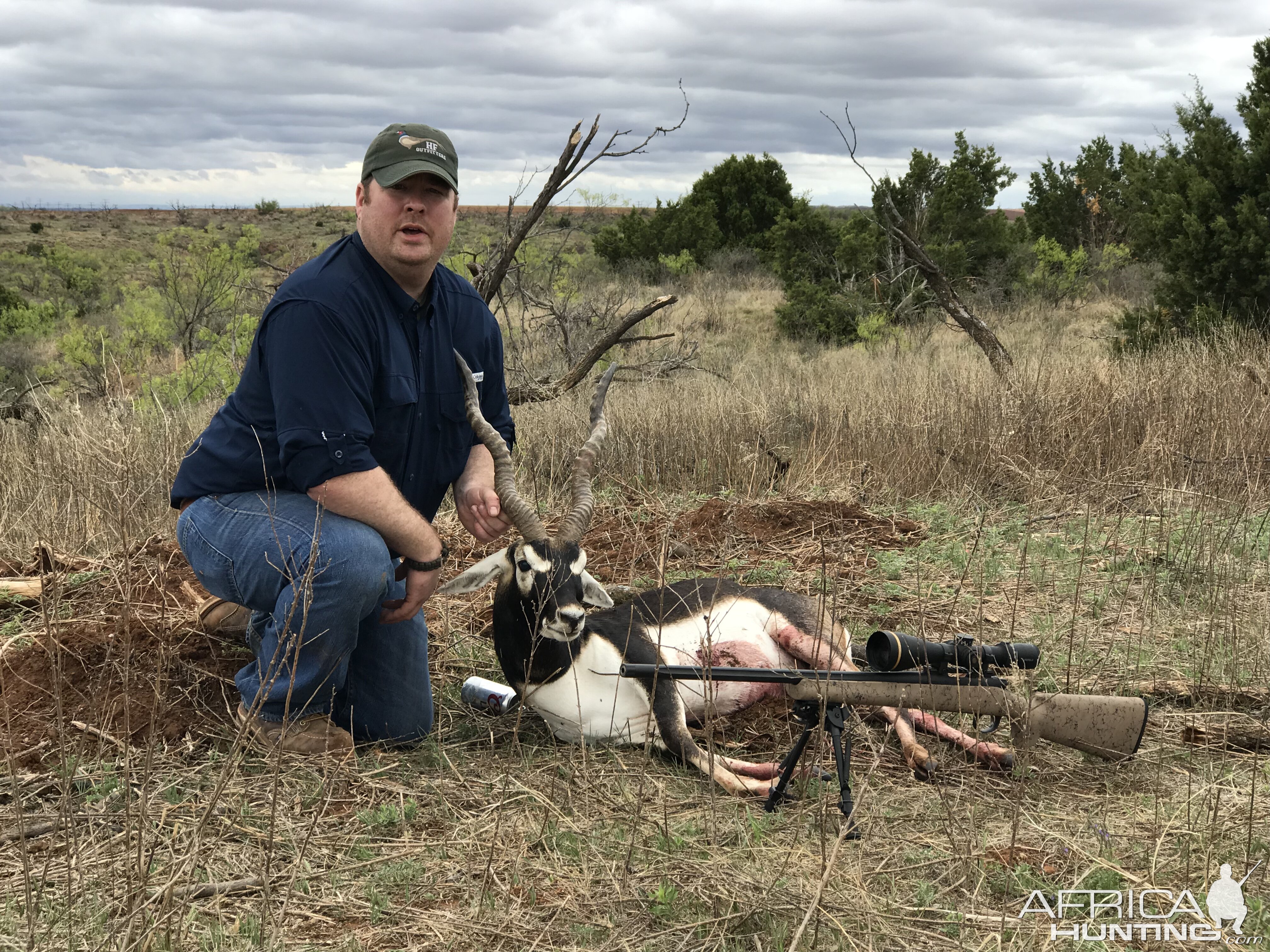 Hunting Blackbuck in Texas