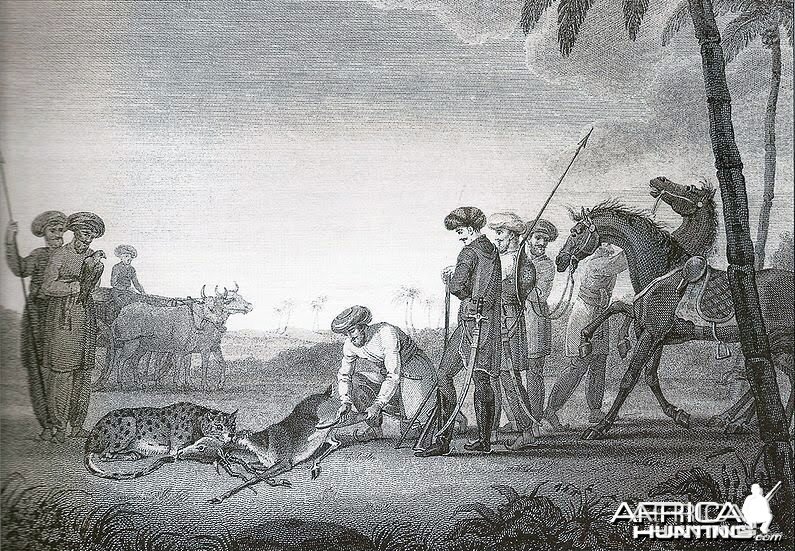 Hunting Blackbuck with Cheetah ca. 1812