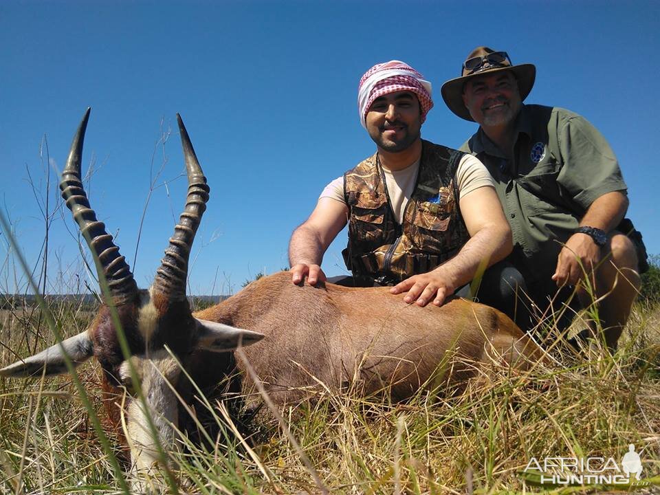 Hunting Blesbok in South Africa