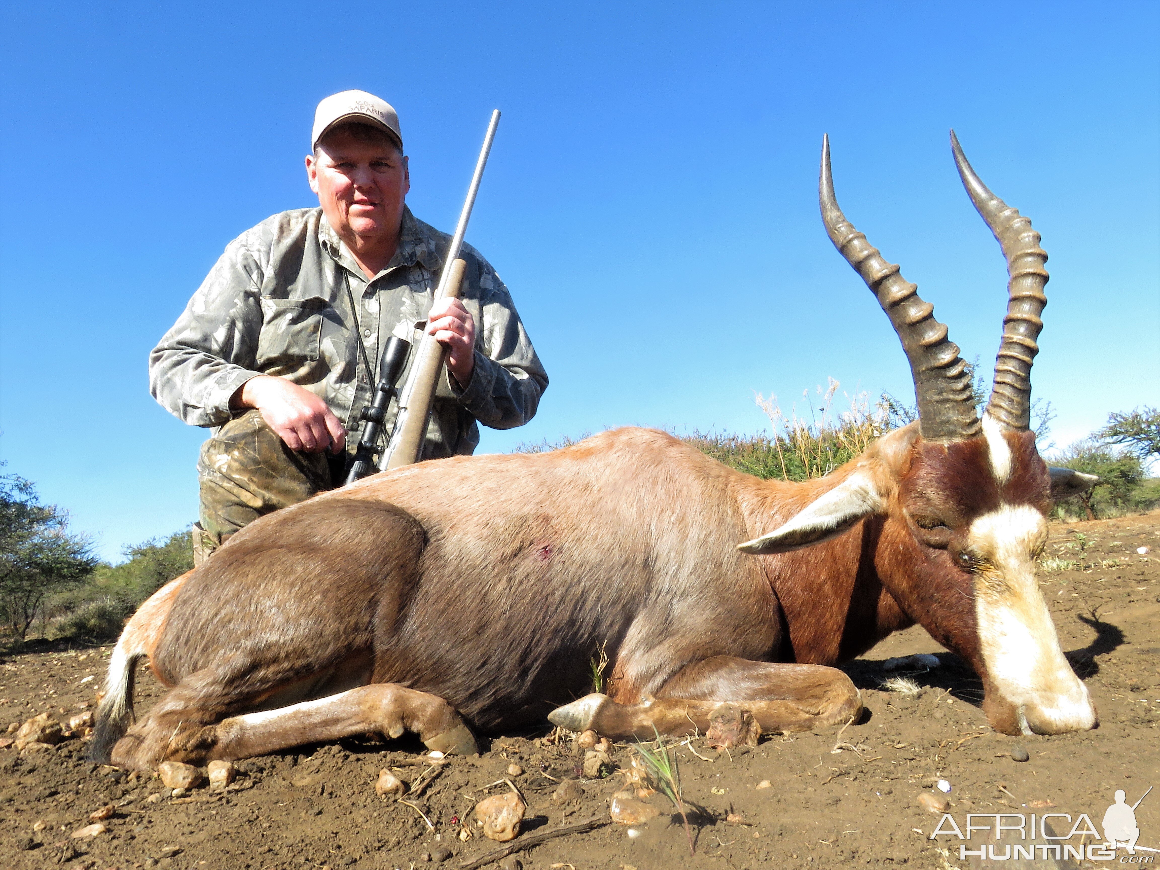 Hunting Blesbok in South Africa