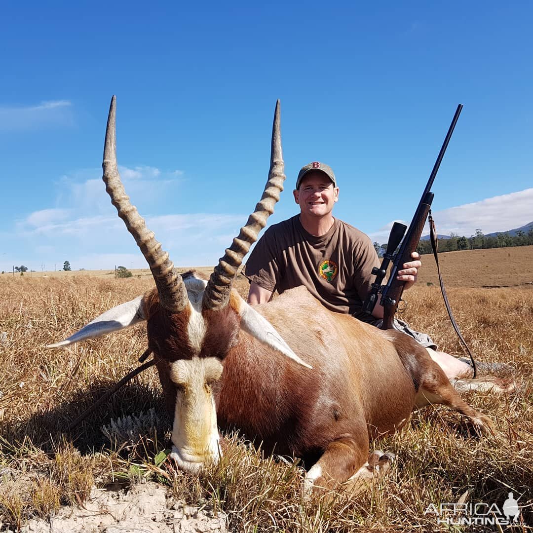 Hunting Blesbok in South Africa