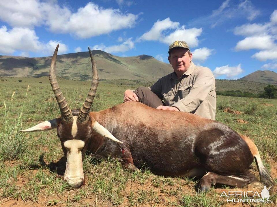 Hunting Blesbok in South Africa