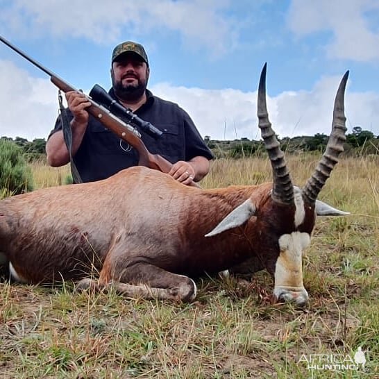 Hunting Blesbok in South Africa