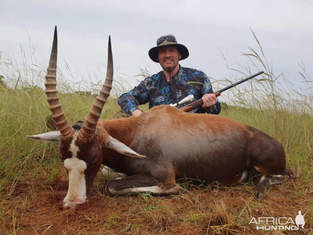 Hunting Blesbok in South Africa