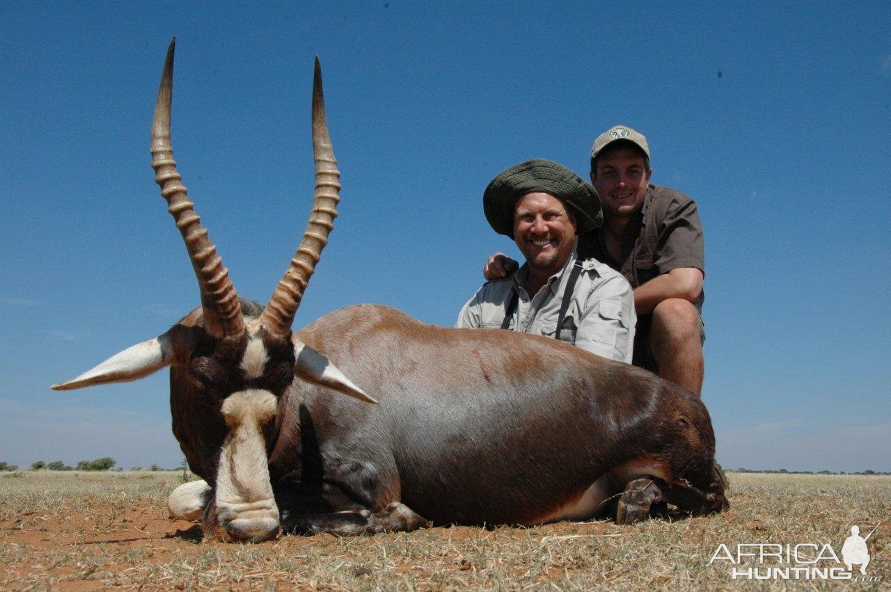 Hunting Blesbok South Africa