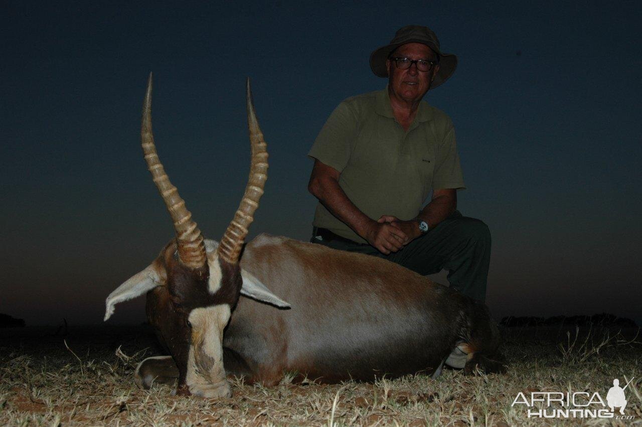 Hunting Blesbok South Africa