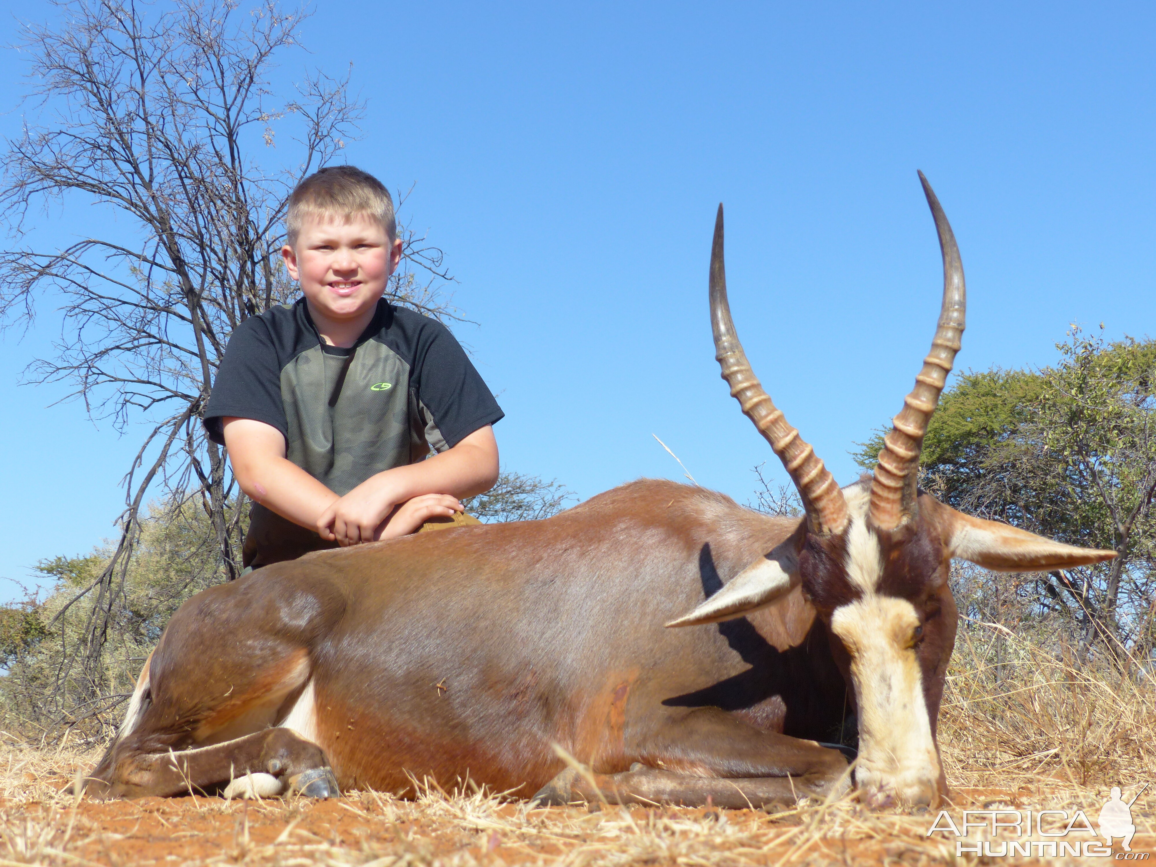 Hunting Blesbok South Africa