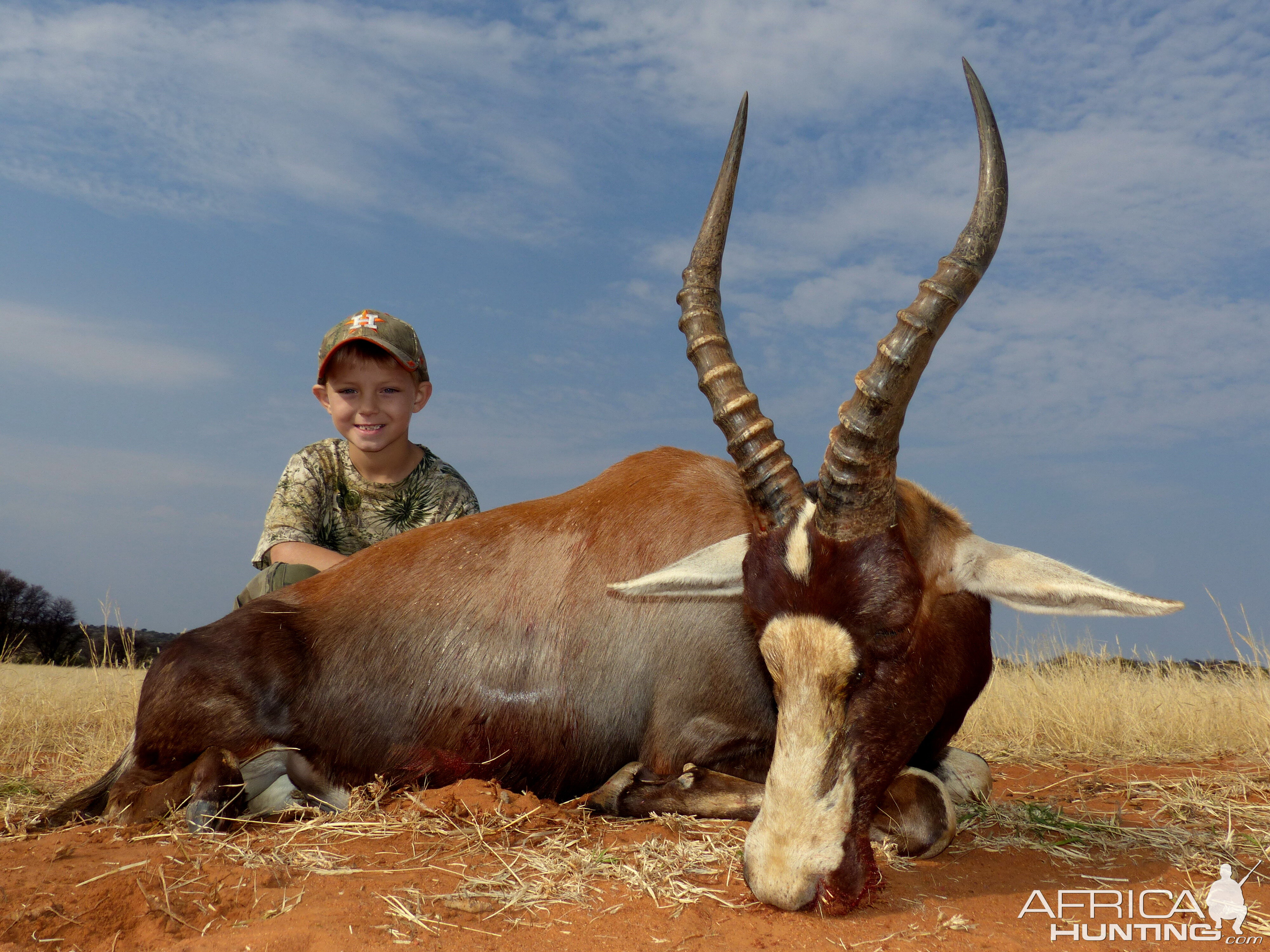 Hunting Blesbok South Africa