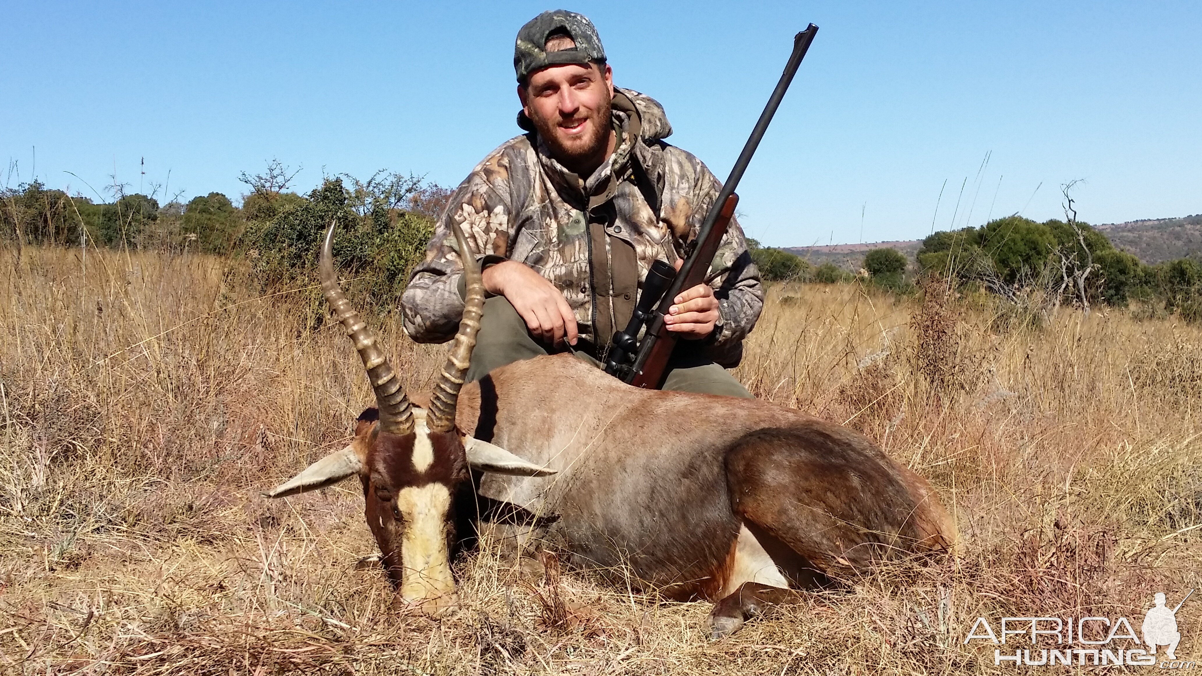 Hunting Blesbok South Africa