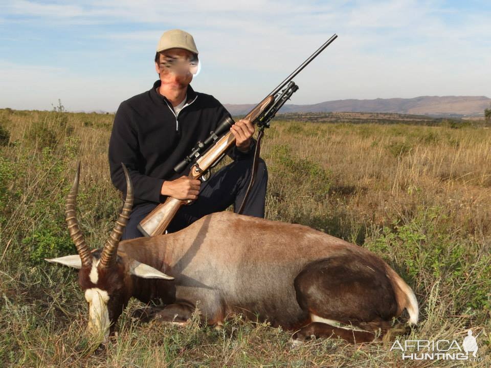 Hunting Blesbok South Africa