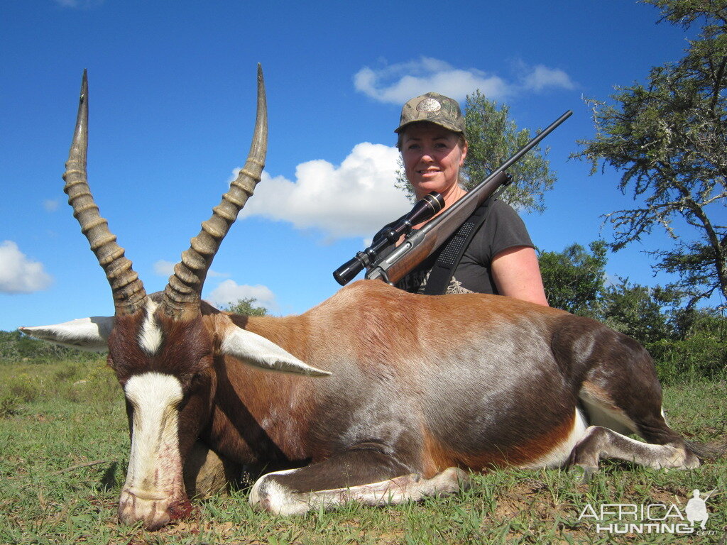 Hunting Blesbok South Africa