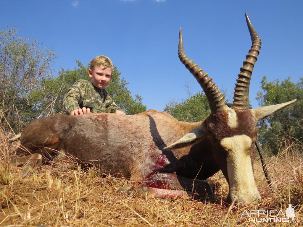 Hunting Blesbok South Africa