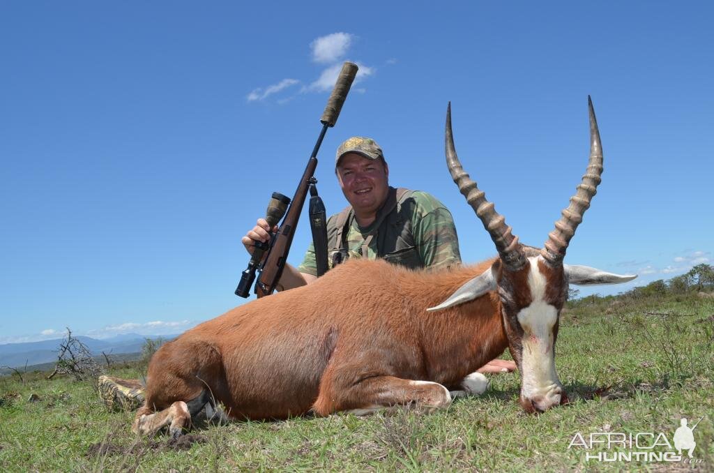 Hunting Blesbok South Africa