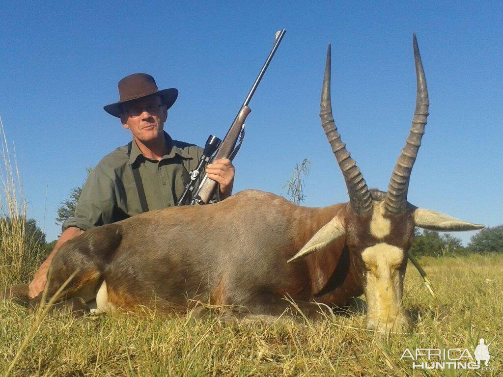 Hunting Blesbok South Africa