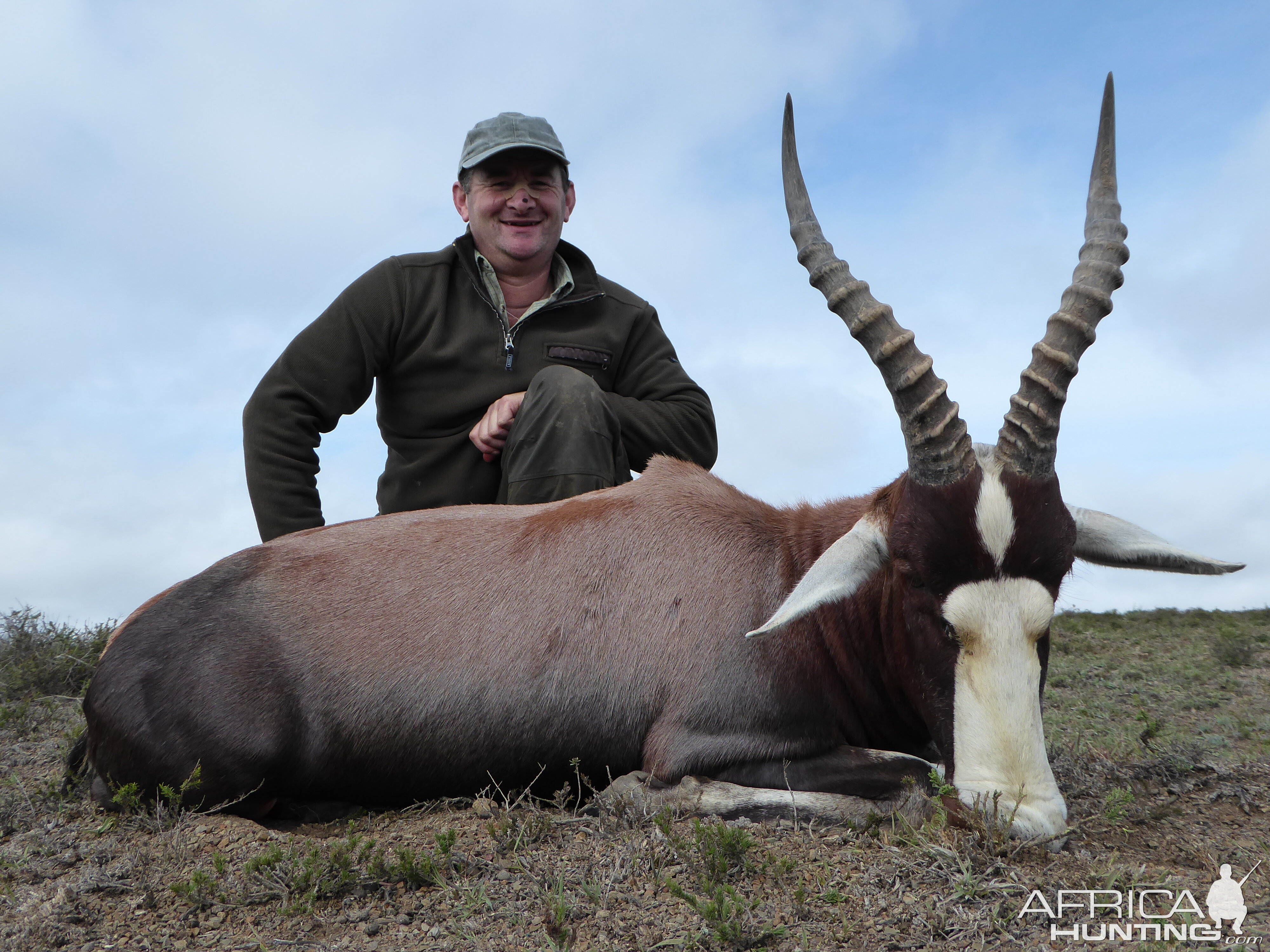 Hunting Blesbok South Africa