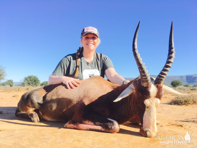 Hunting Blesbok South Africa