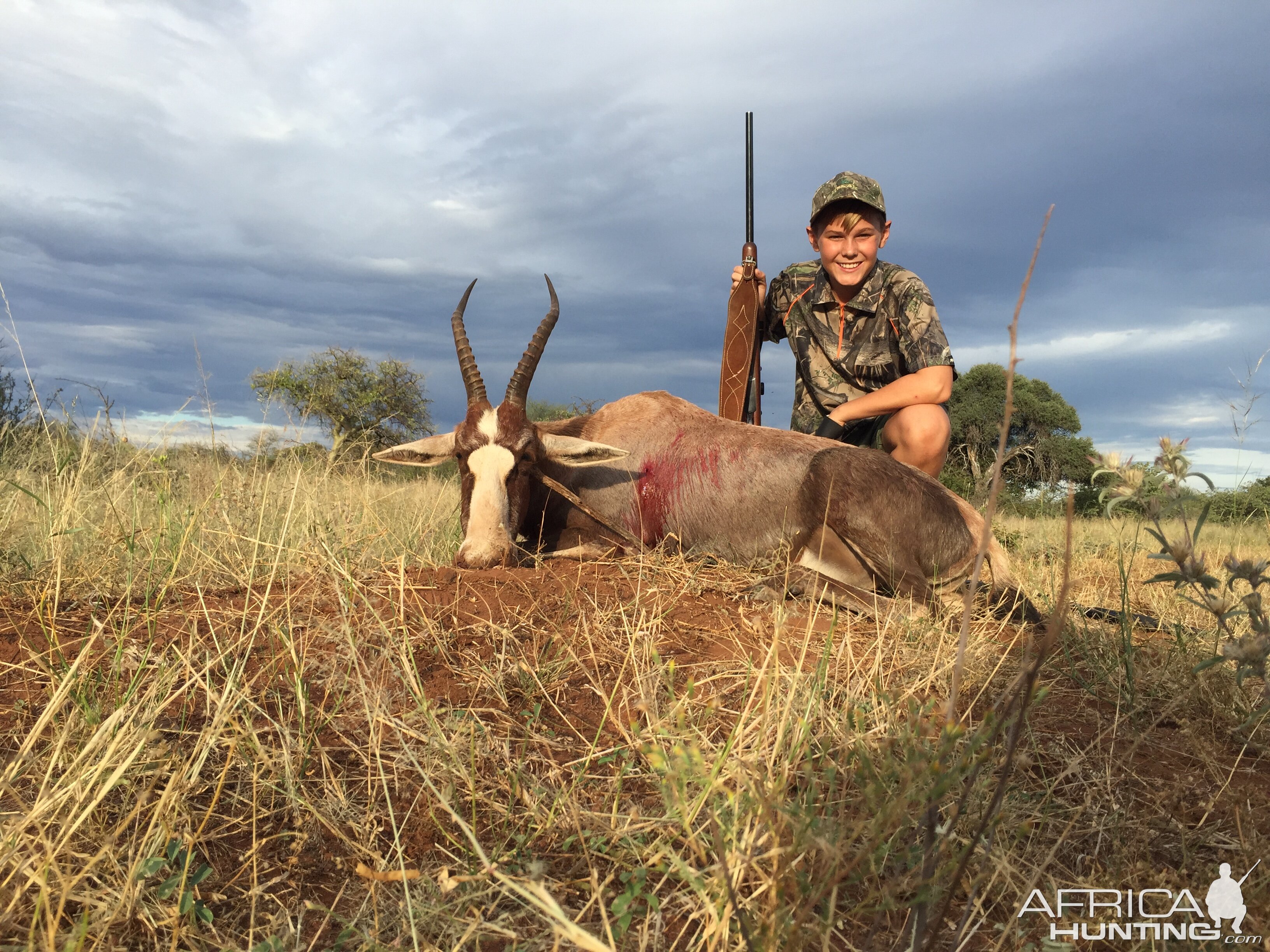 Hunting Blesbok South Africa