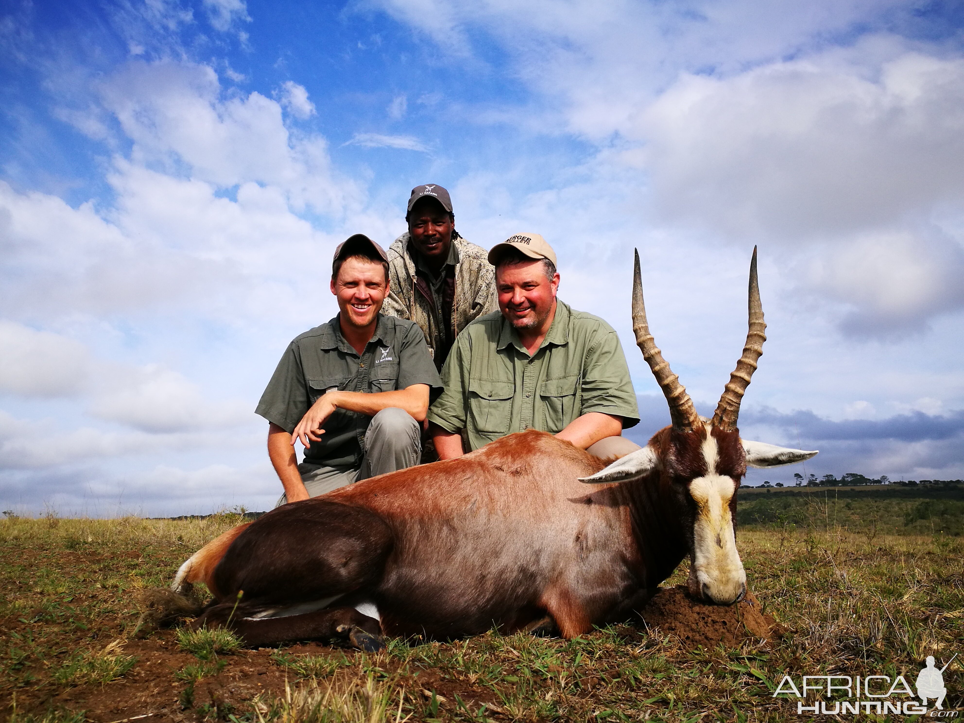 Hunting Blesbok South Africa