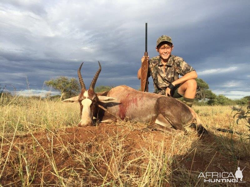 Hunting Blesbok South Africa