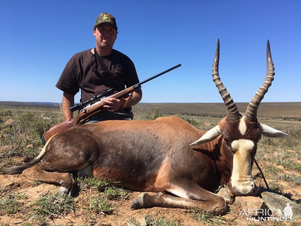 Hunting Blesbok South Africa