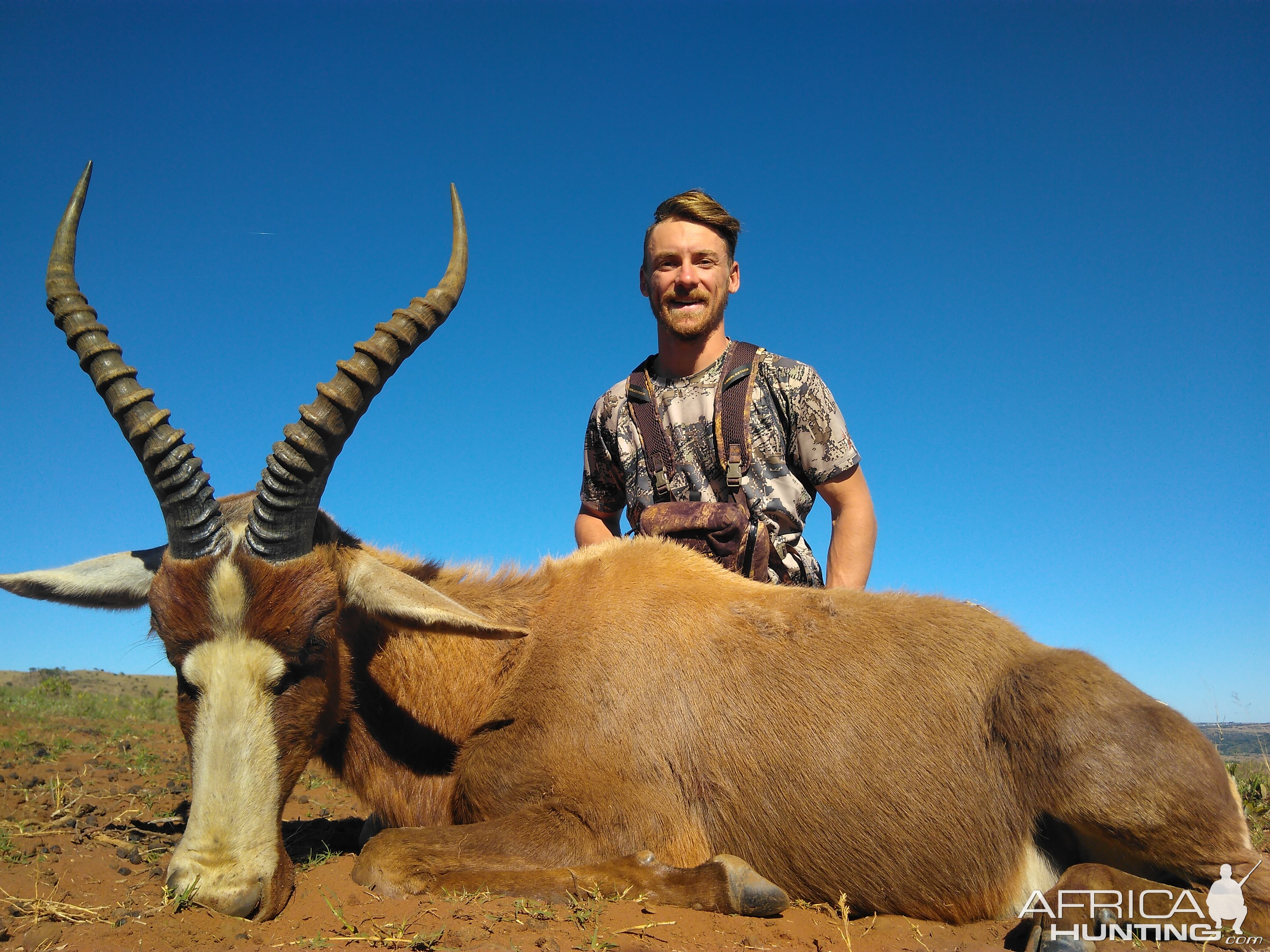 Hunting Blesbok South Africa