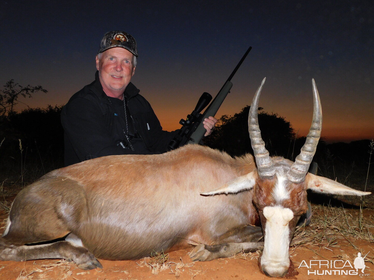 Hunting Blesbok South Africa