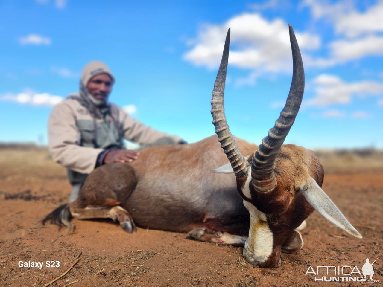 Hunting Blesbok