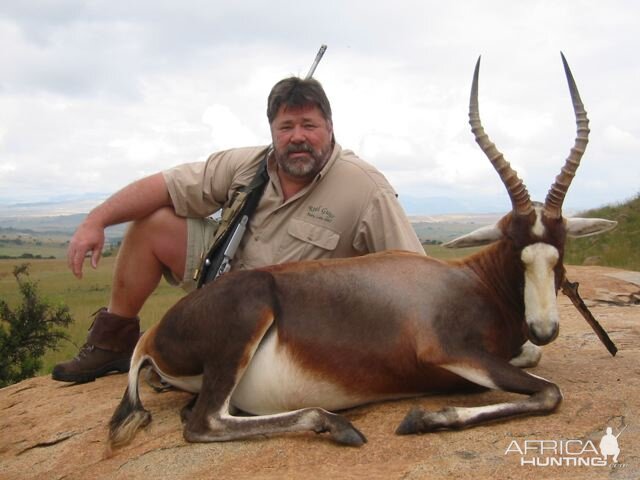 Hunting Blesbok