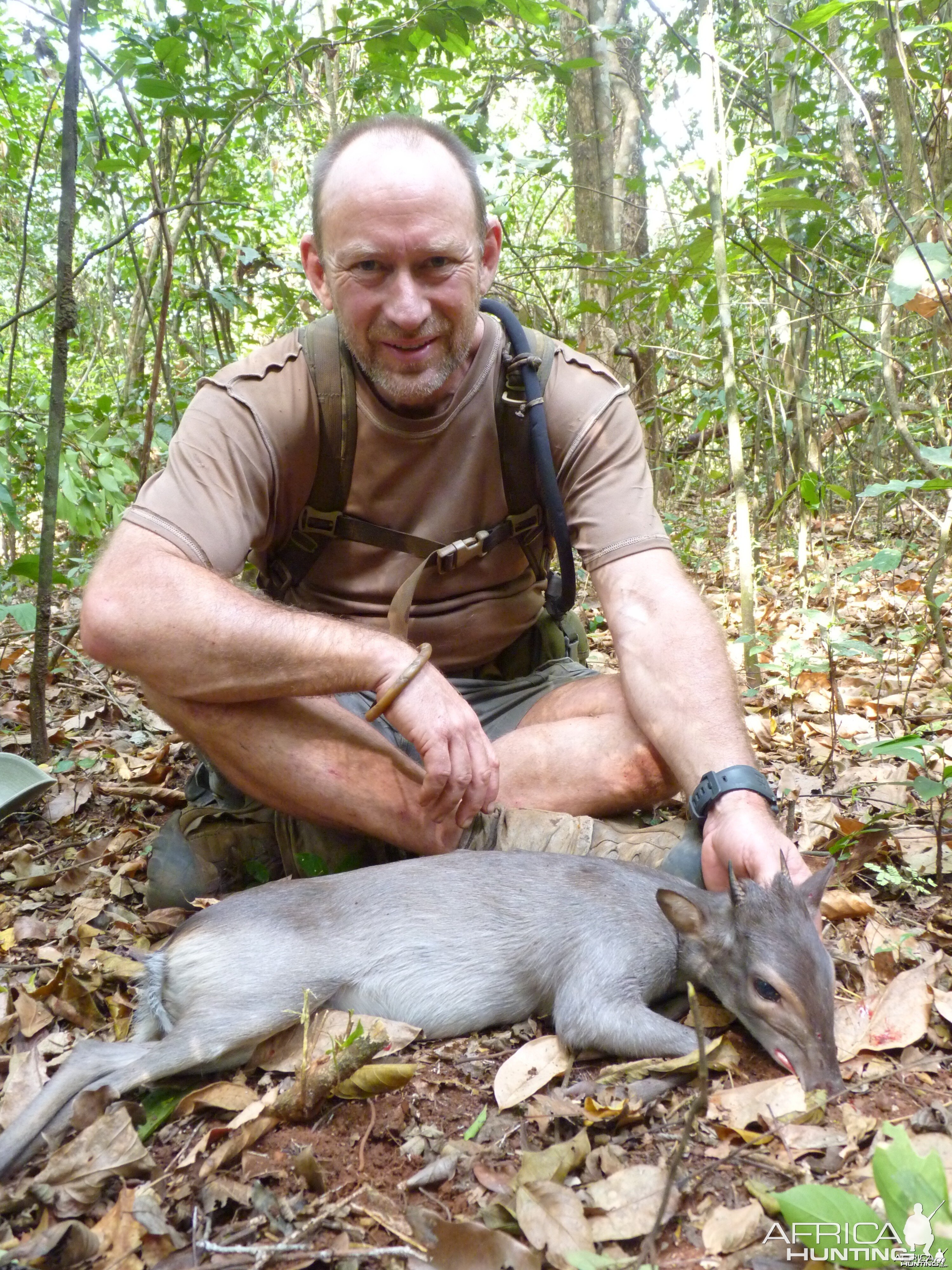 Hunting Blue Duiker in Central African Republic