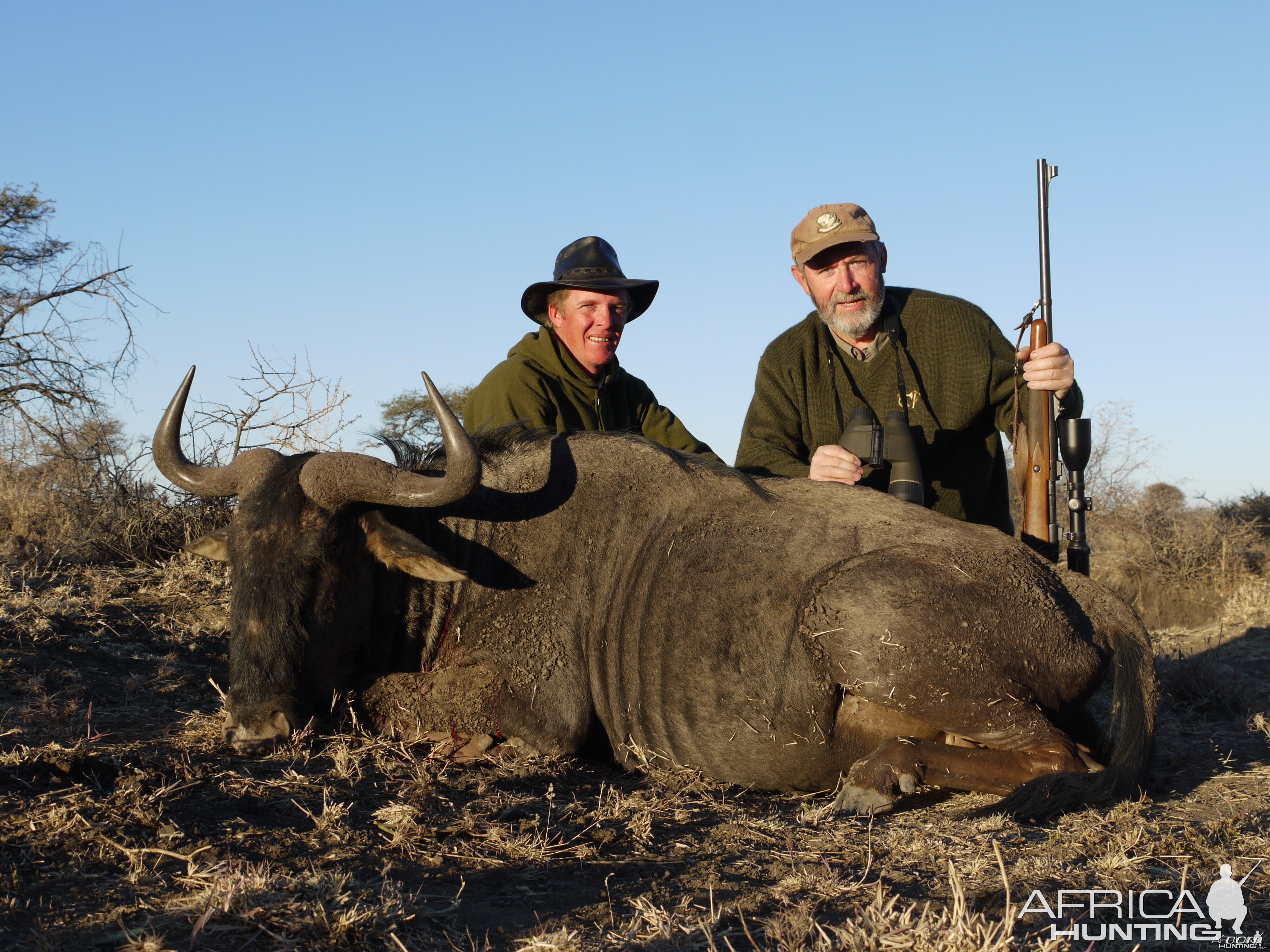 Hunting Blue Wildebeest in Namibia