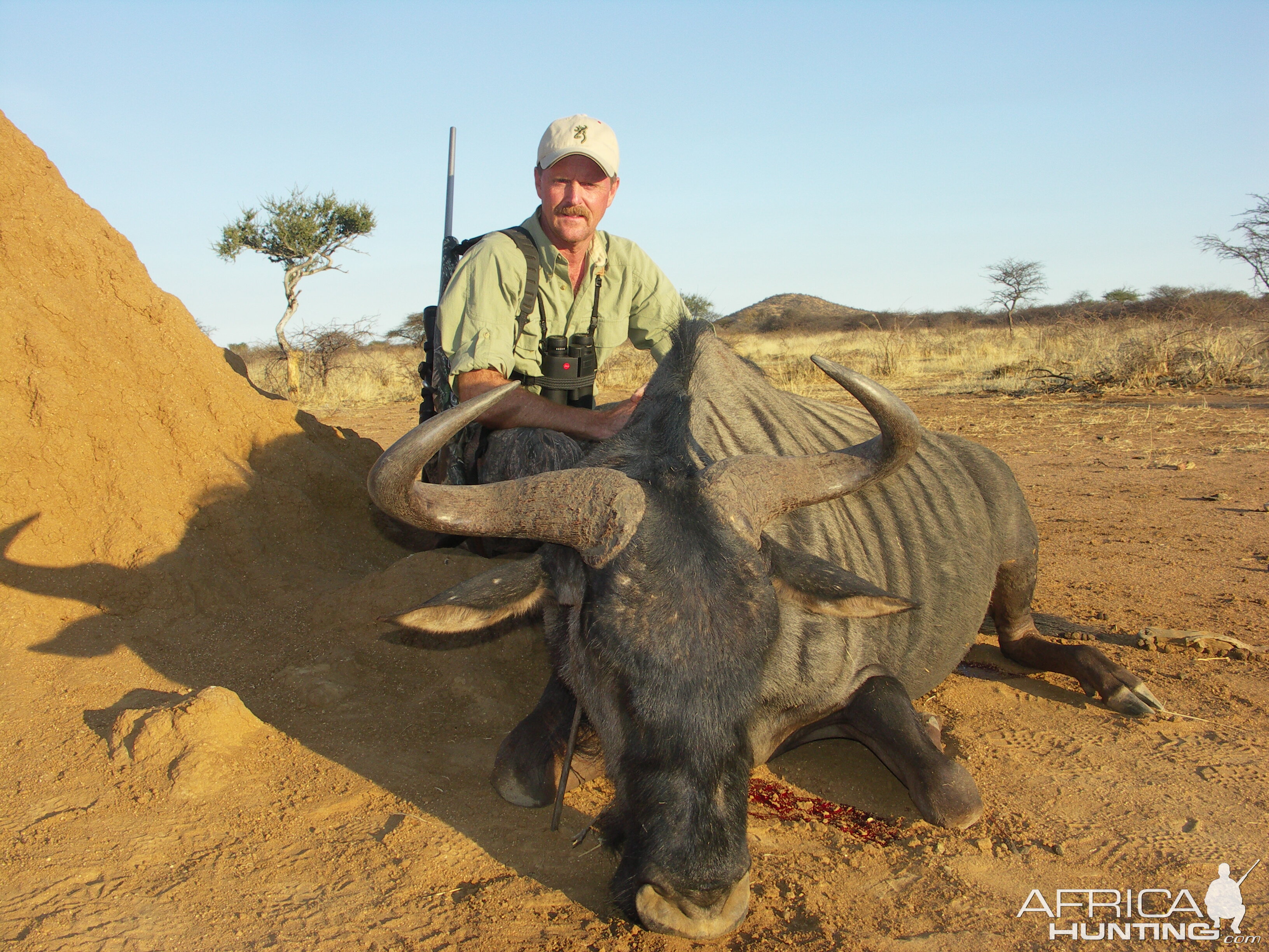 Hunting Blue Wildebeest in Namibia