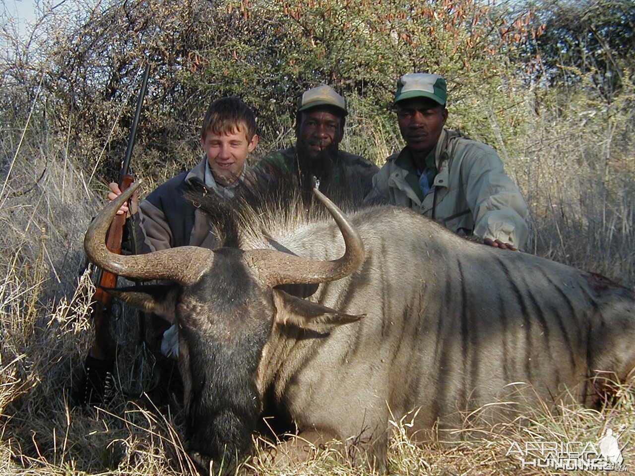 Hunting Blue Wildebeest in Namibia