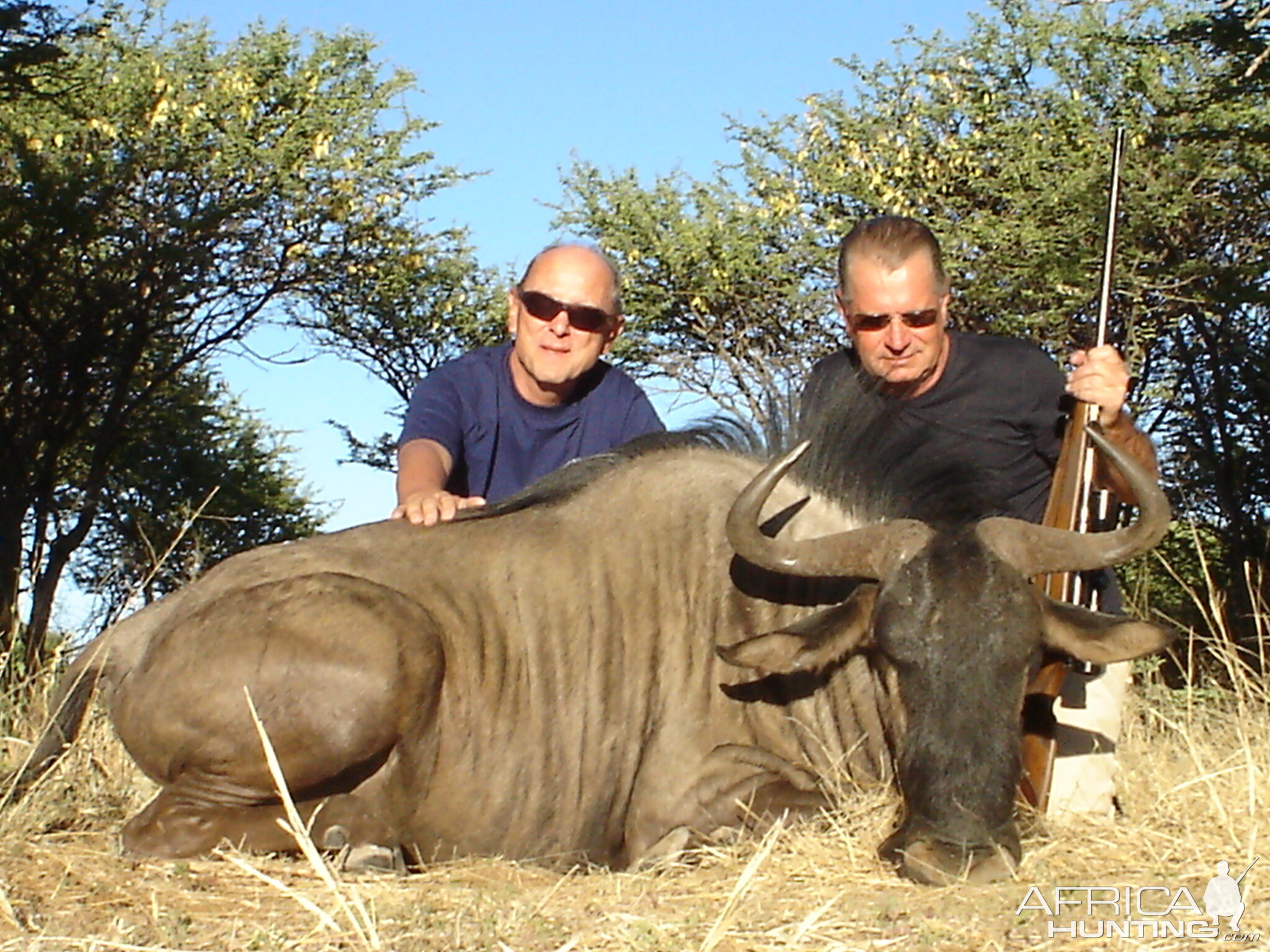 Hunting Blue Wildebeest in Namibia