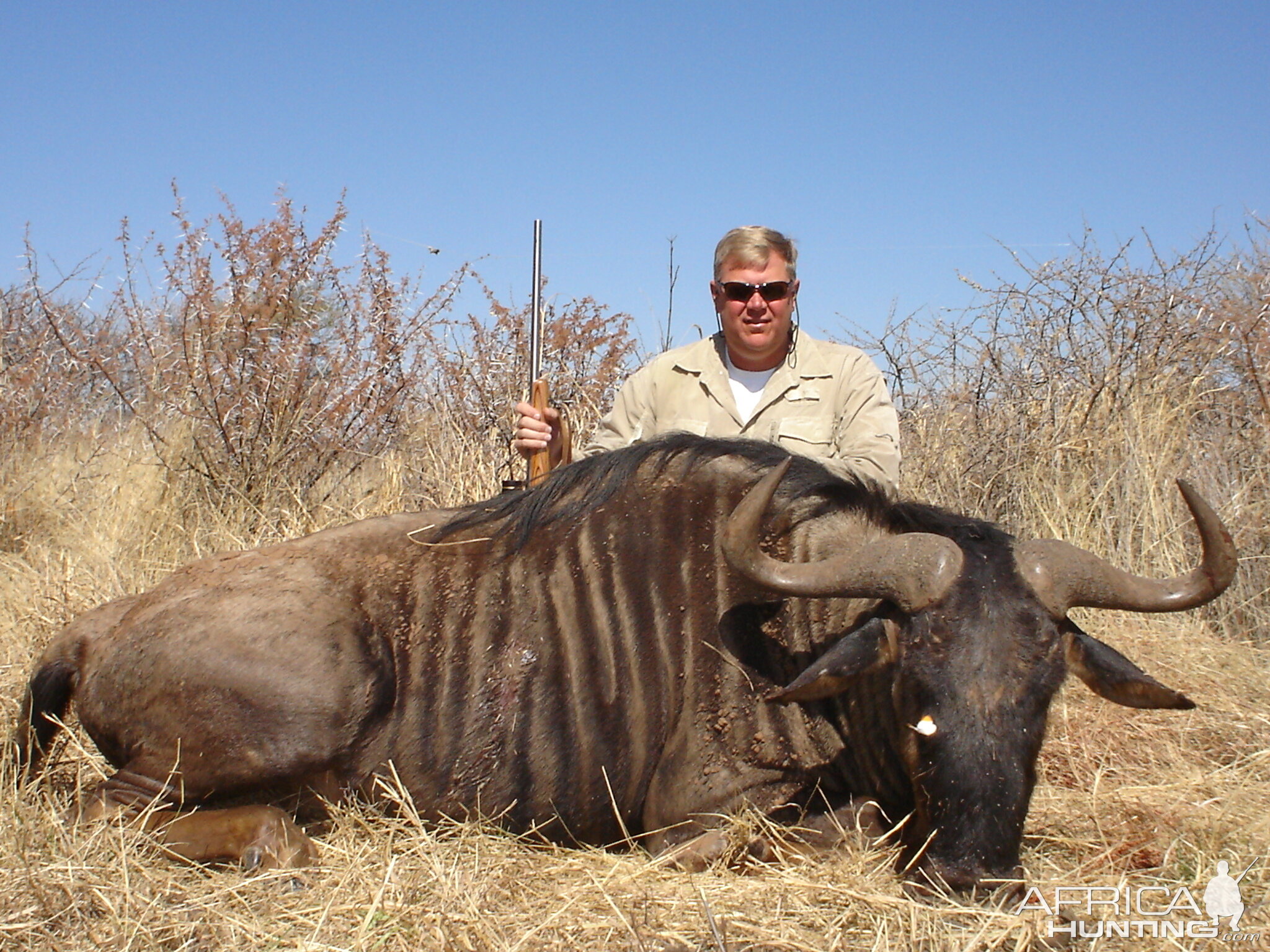 Hunting Blue Wildebeest in Namibia