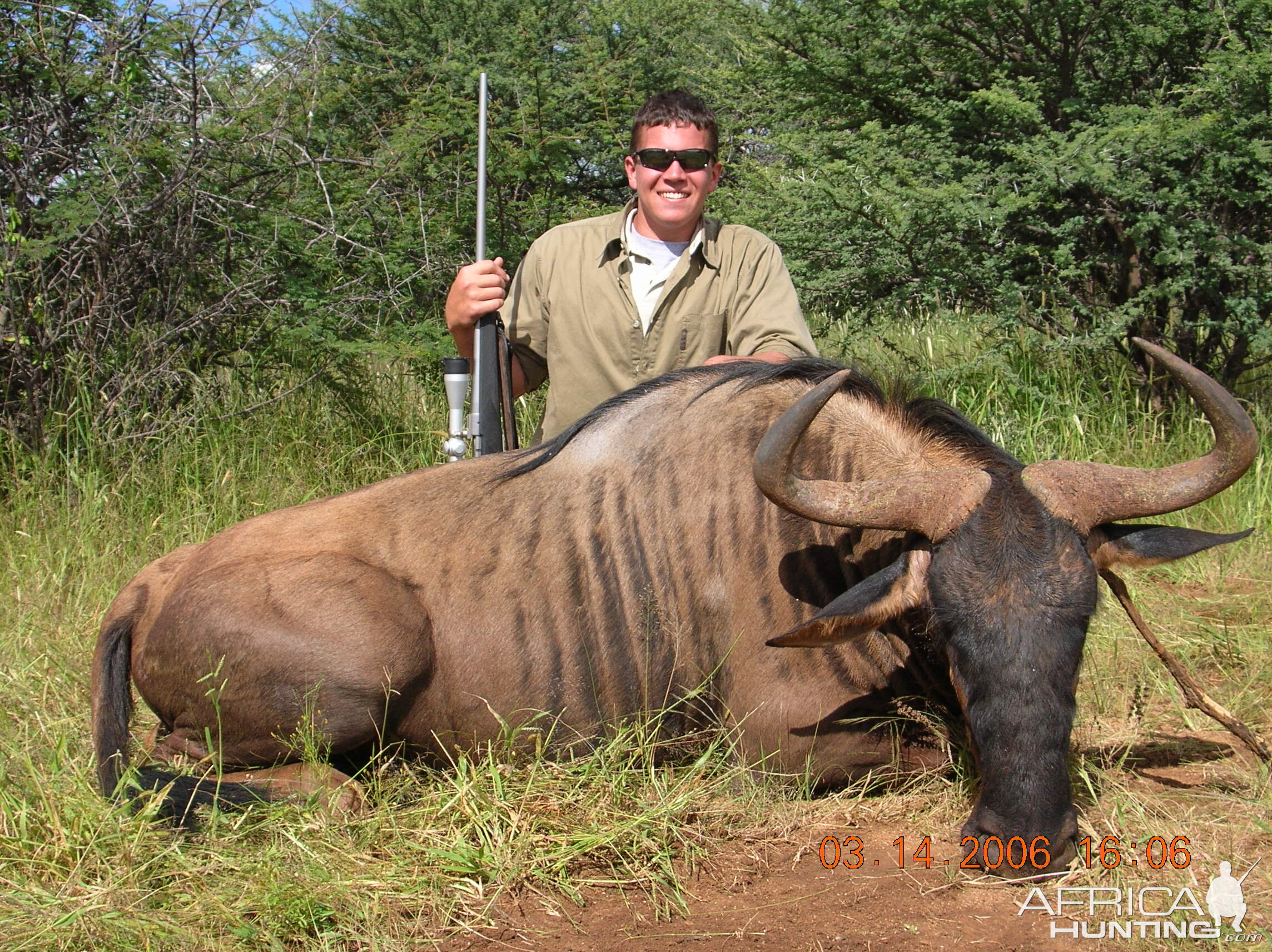 Hunting Blue Wildebeest in Namibia