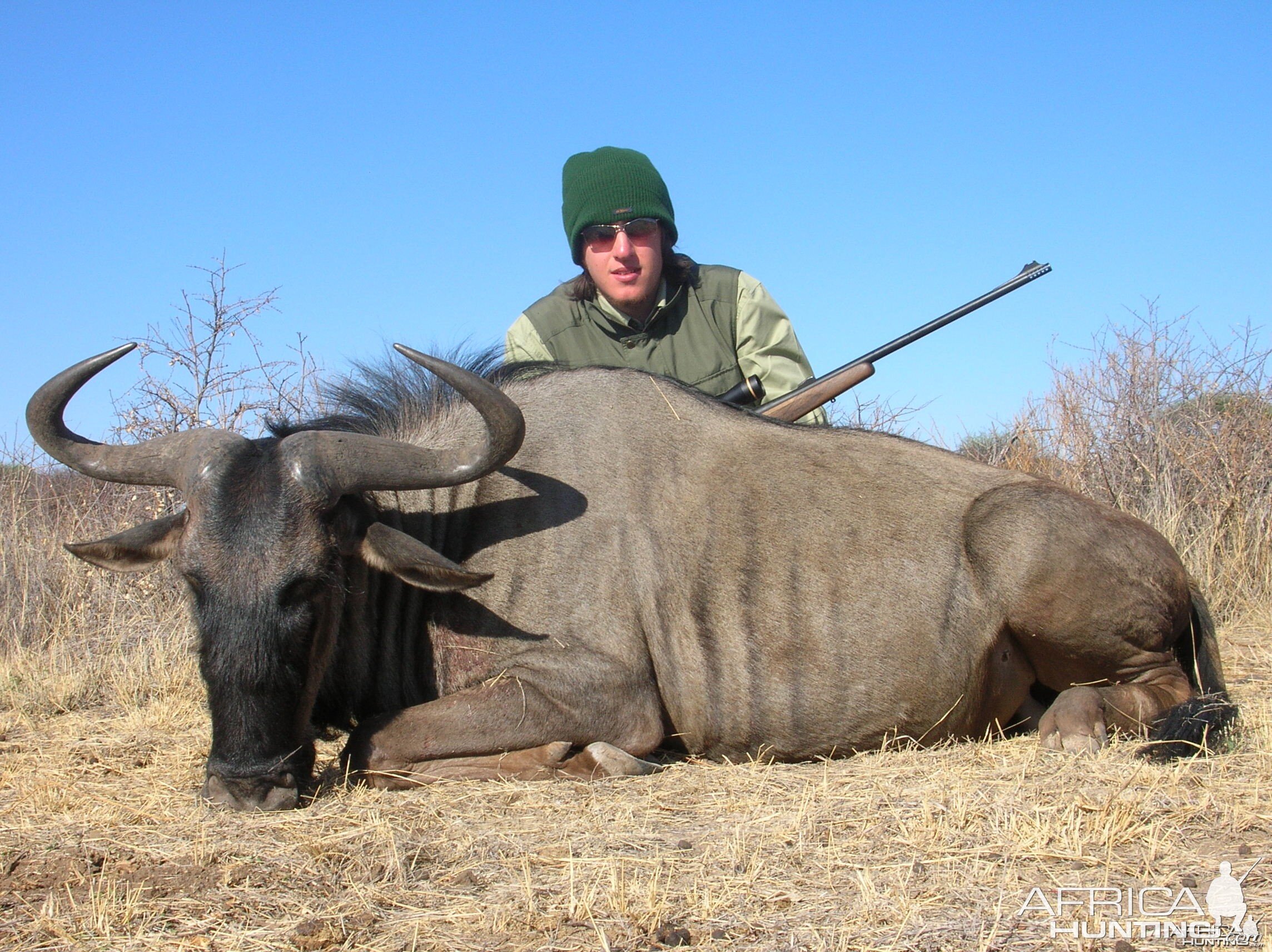 Hunting Blue Wildebeest in Namibia