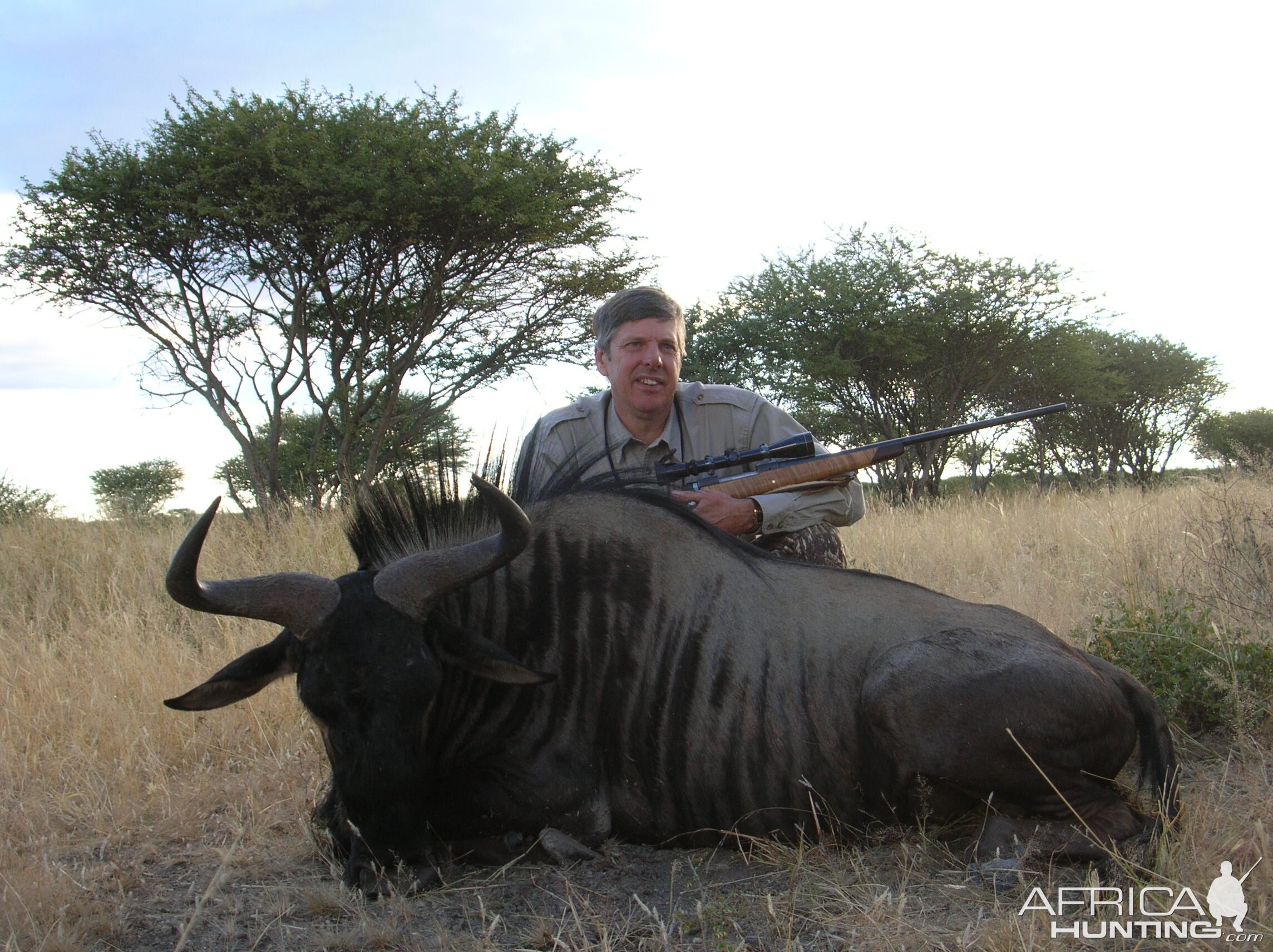 Hunting Blue Wildebeest in Namibia