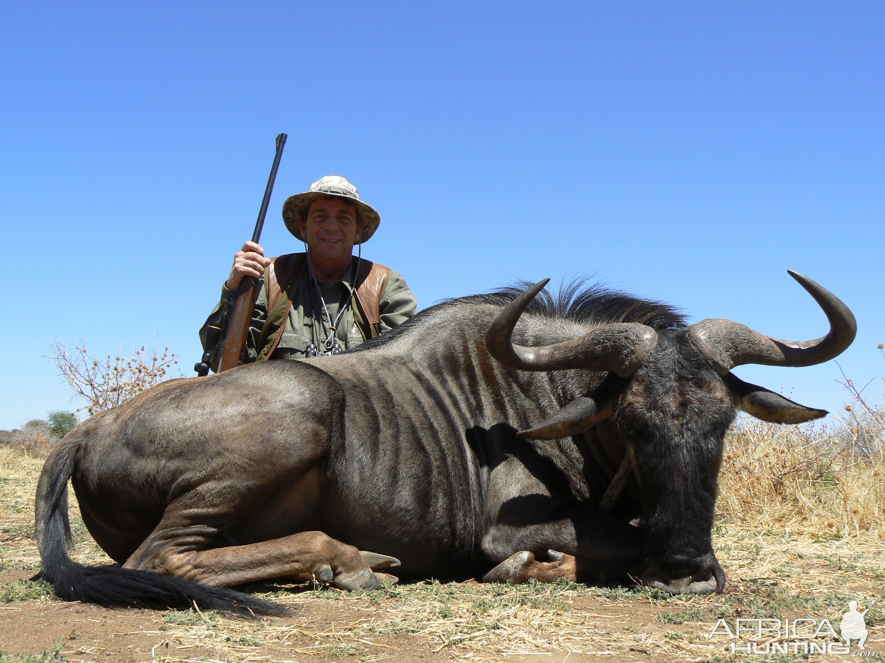 Hunting Blue Wildebeest in Namibia