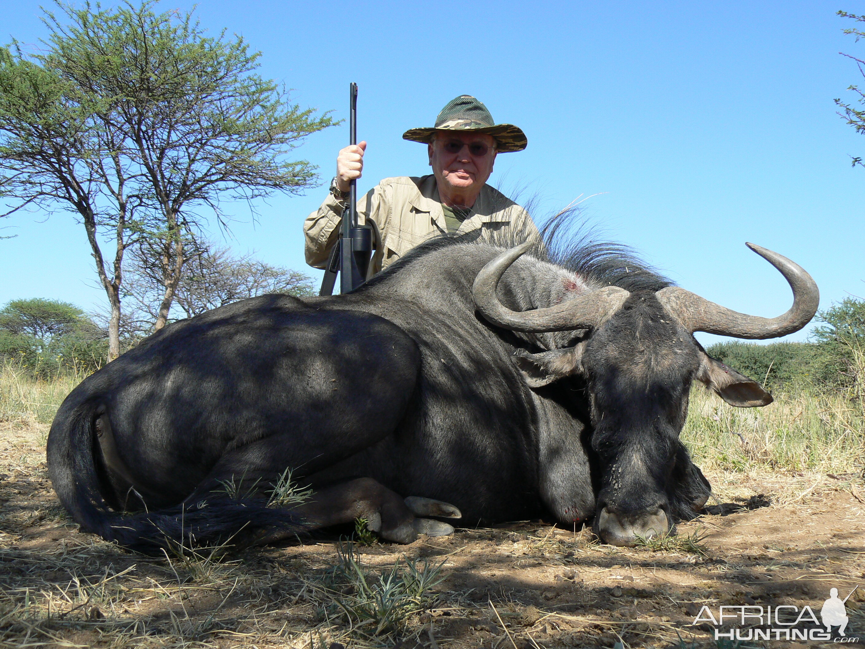 Hunting Blue Wildebeest in Namibia