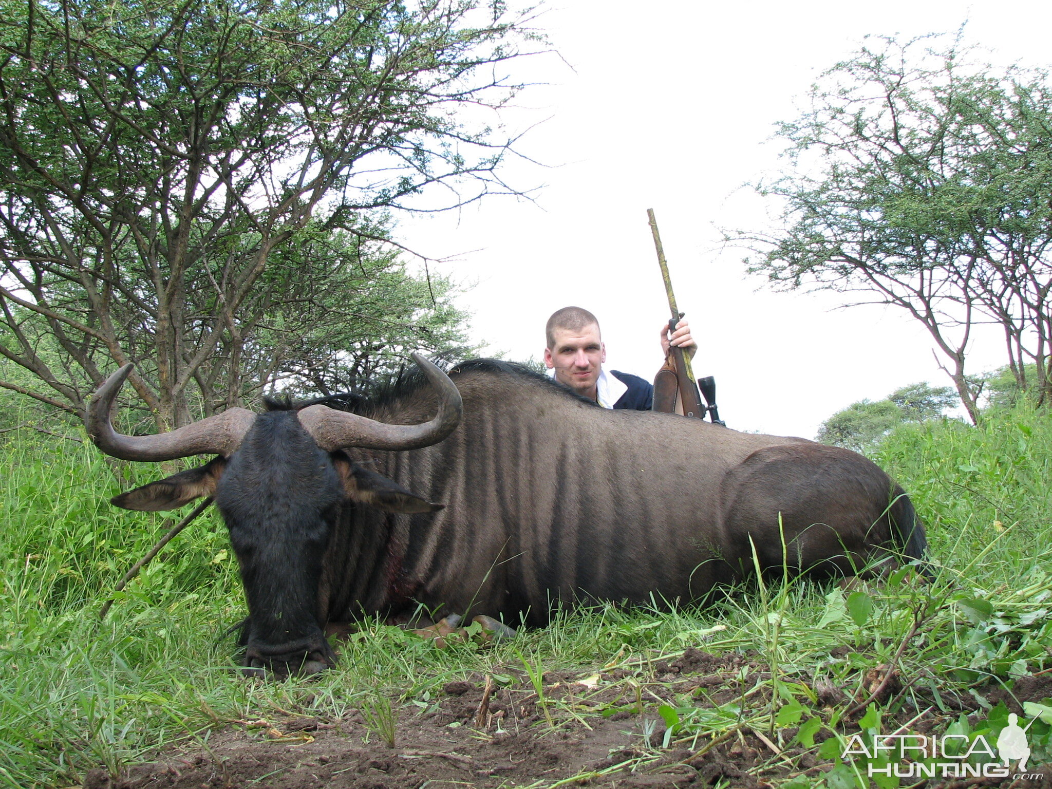 Hunting Blue Wildebeest in Namibia