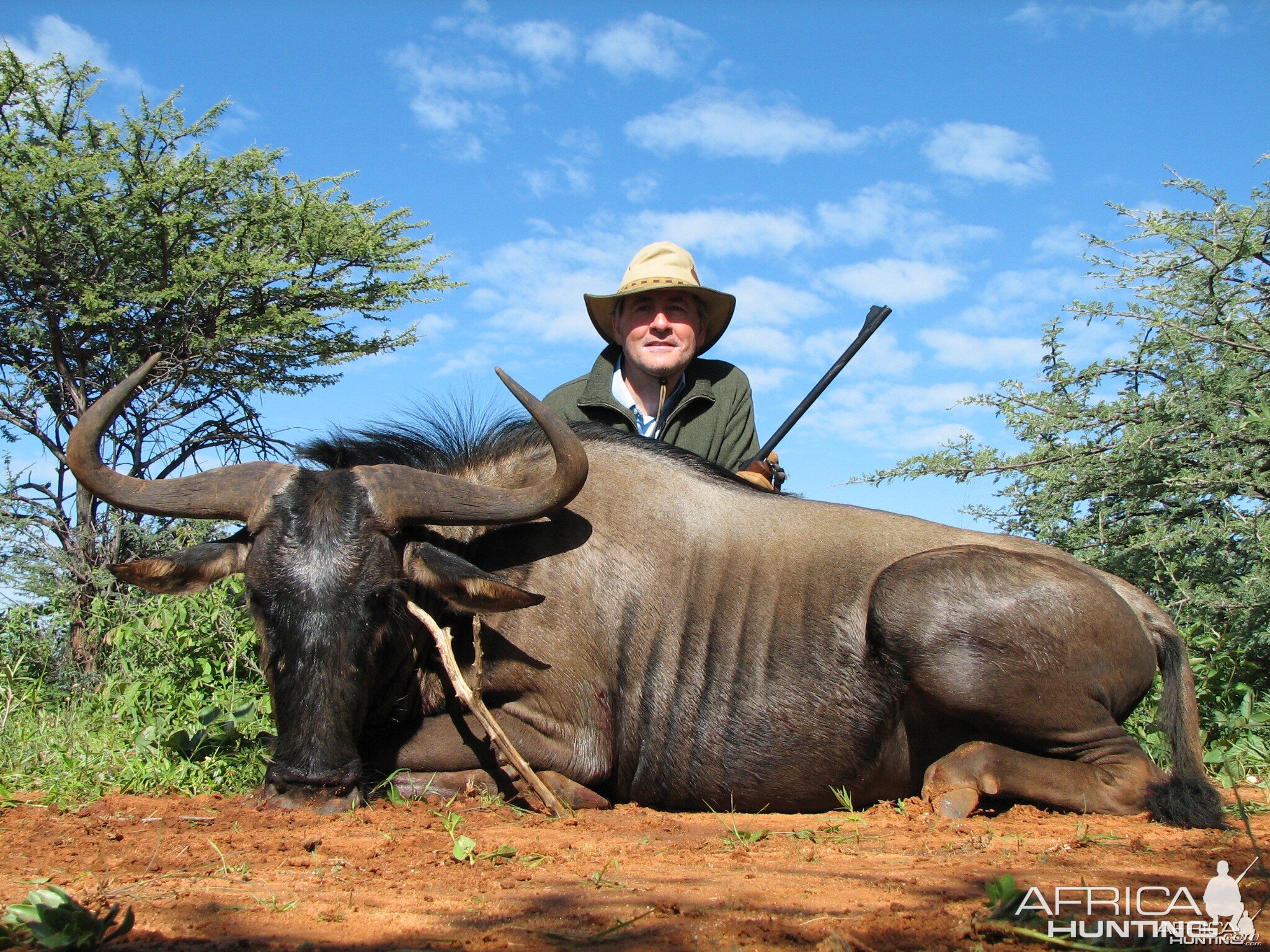 Hunting Blue Wildebeest in Namibia