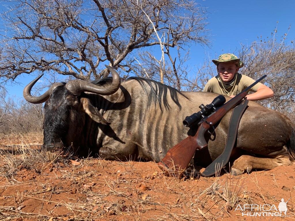 Hunting Blue Wildebeest in South Africa