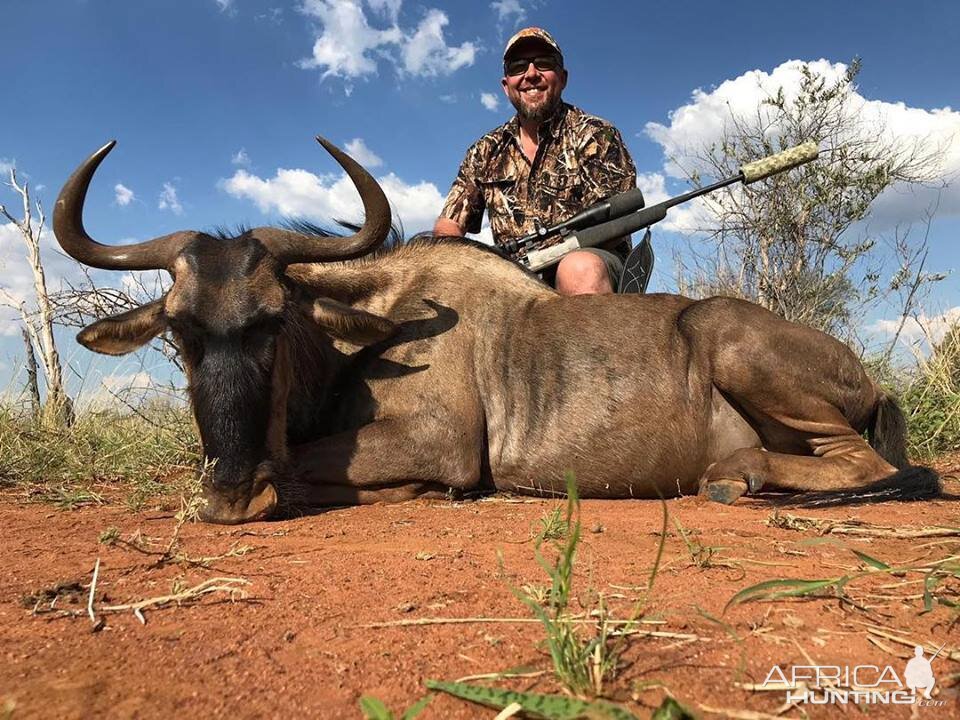 Hunting Blue Wildebeest in South Africa