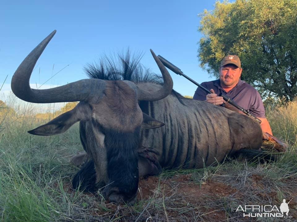 Hunting Blue Wildebeest in South Africa