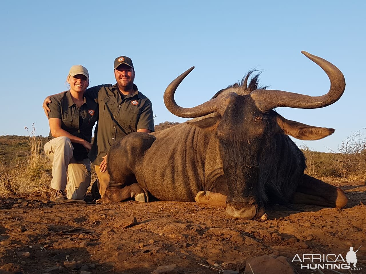 Hunting Blue Wildebeest in South Africa