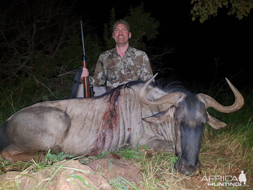 Hunting Blue Wildebeest in South Africa